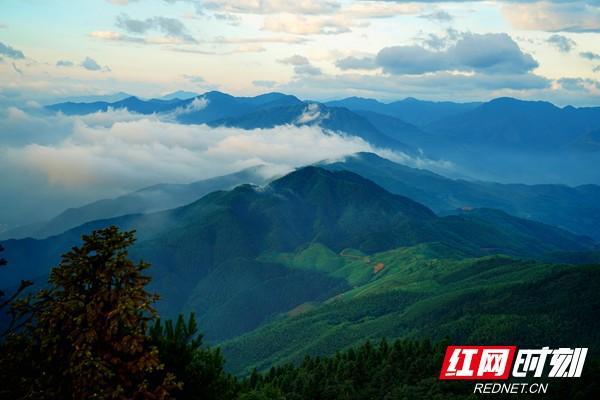 寰宇睡眠日：云山景区雷竞技APP推出“丛林疗养区”搭客睡进丛林(图2)