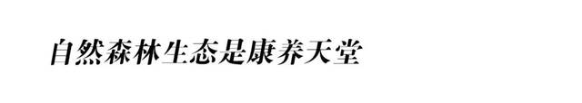 雷竞技APP自然生态康养——摄生的无误翻开格式(图3)