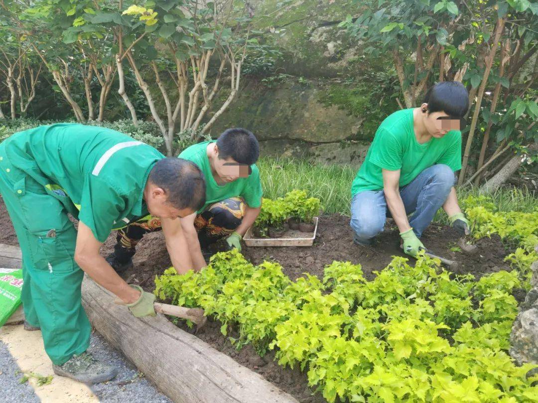 市第二社会福利院：有爱无碍！推动特困任职保护办雷竞技APP事提质增效(图2)