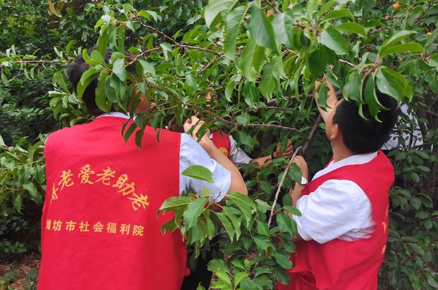 雷竞技APP潍坊市社会福利院立异发展“共筑协调家乡 美满夷悦生存”项目(图7)