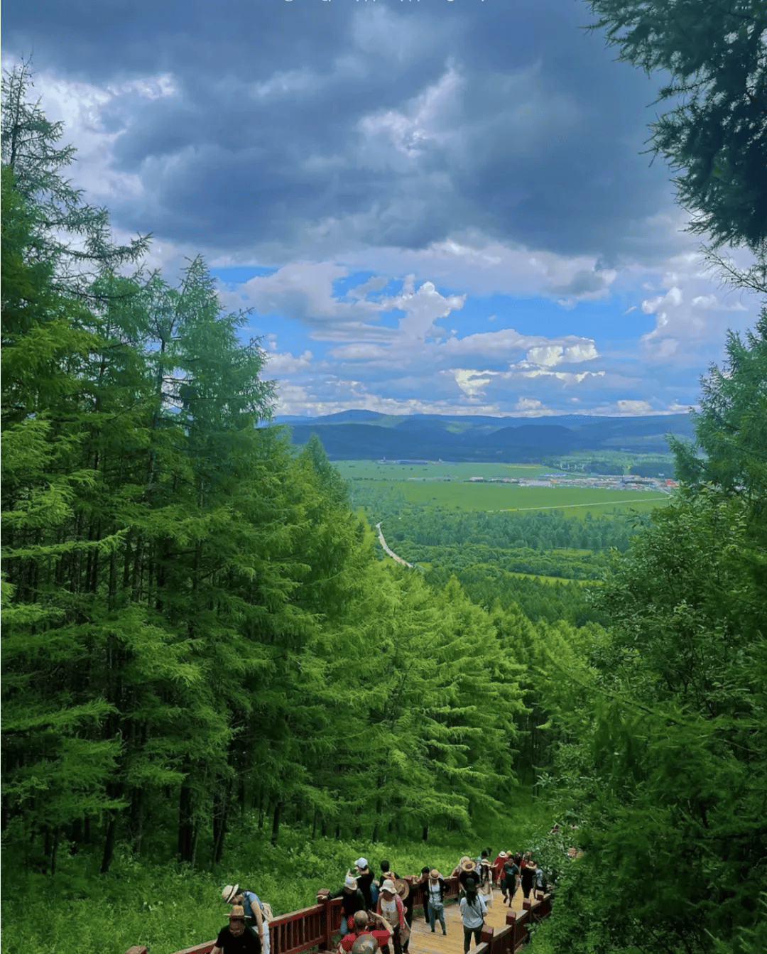 【阿尔山旅逛生长雷竞技APP】悦生态、疗身心阿尔山旅逛度假区康养新体验！(图3)