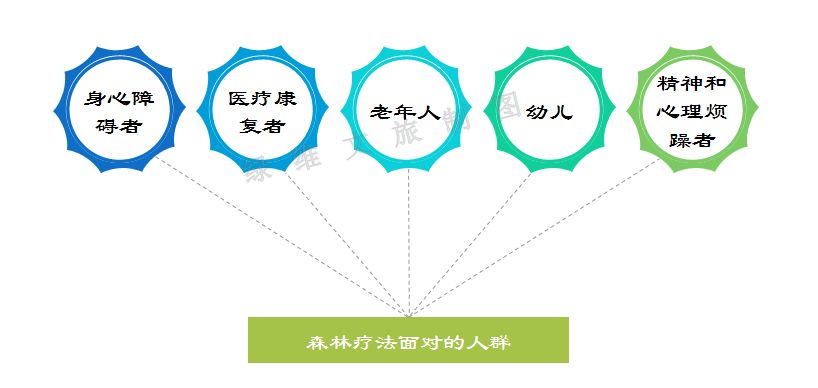 乐和乐活雷竞技APP 丛林疗法：康养旅逛中的自然良药(图3)