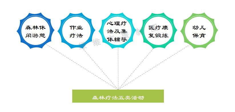 乐和乐活雷竞技APP 丛林疗法：康养旅逛中的自然良药(图4)